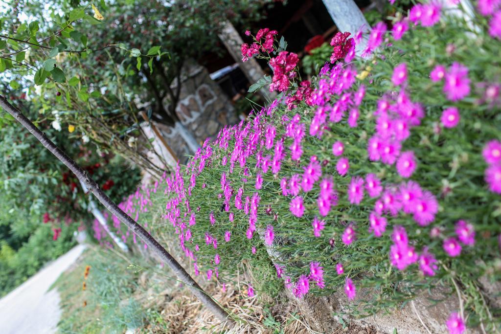 Ana Stjepan Nikolic - Pilgrim'S 2Nd Home Medjugorje Exterior photo